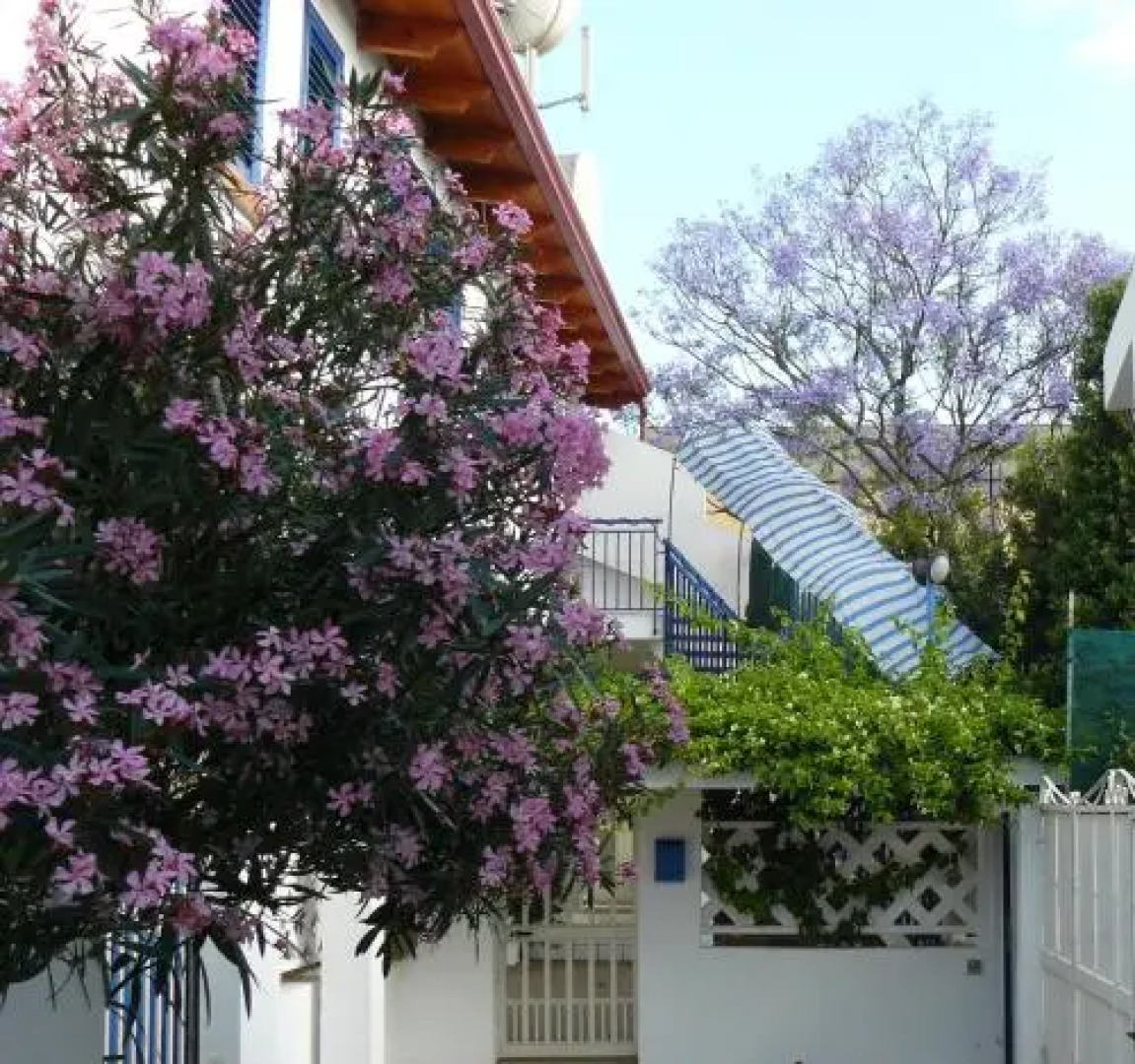 Affittacamere La Jacaranda
