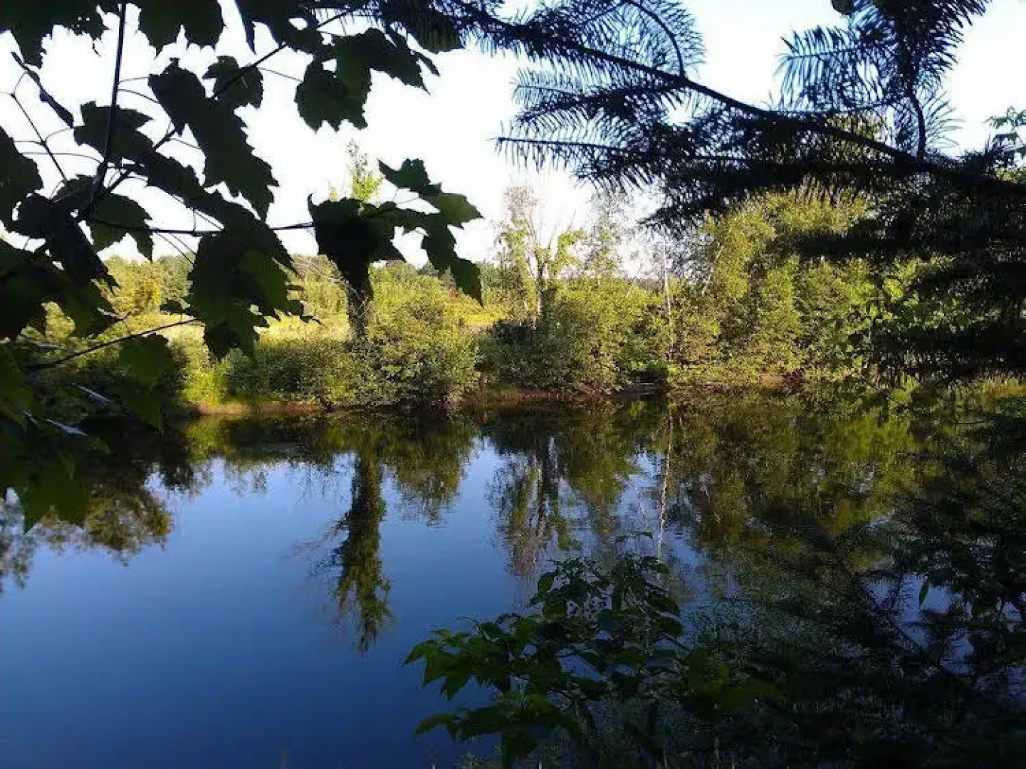 Le Gîte De La Rivière