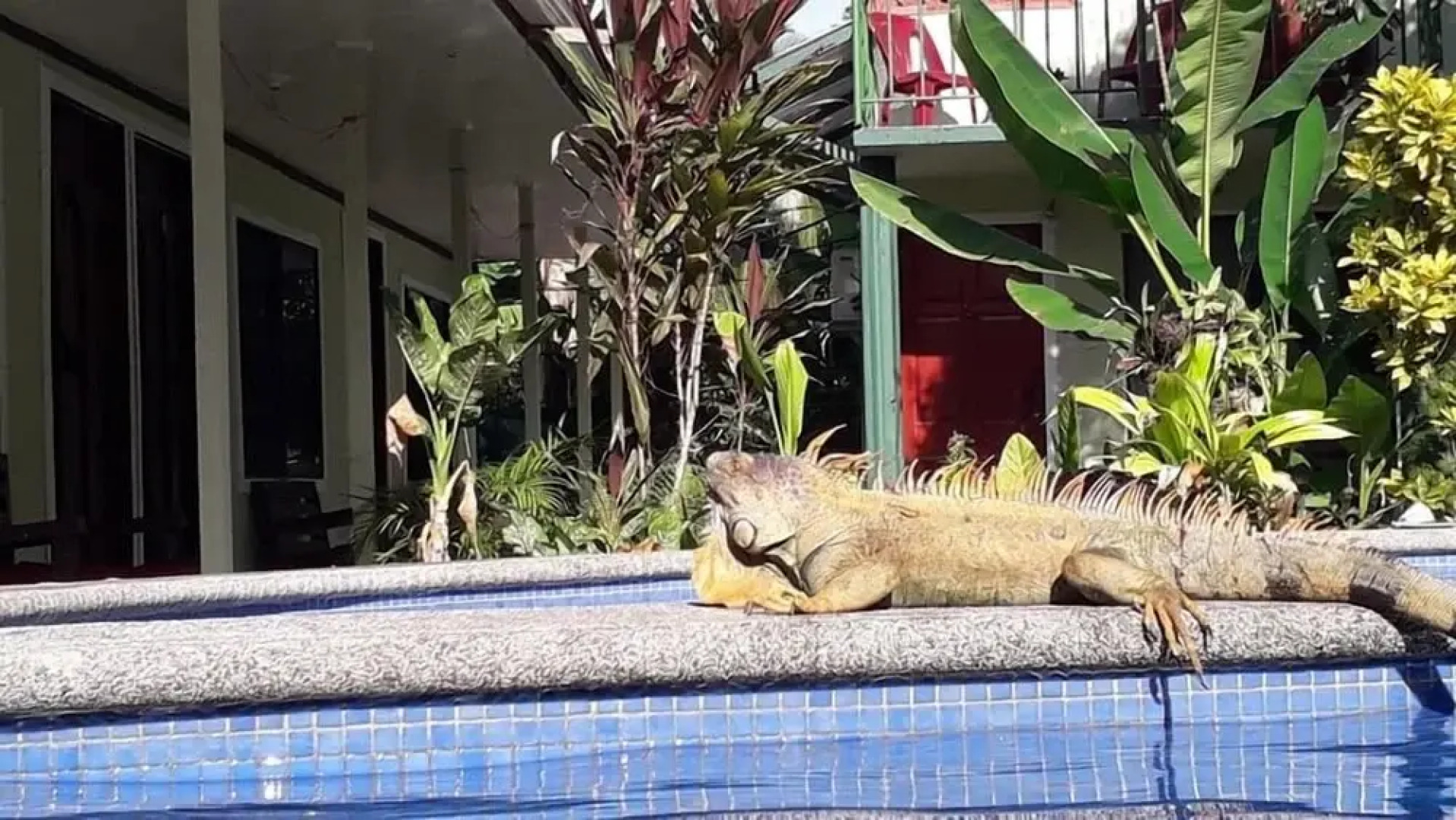 Miss Miriam Hotel frente al mar