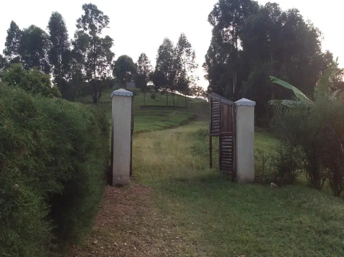 Ecomarvels Gorilla Resort