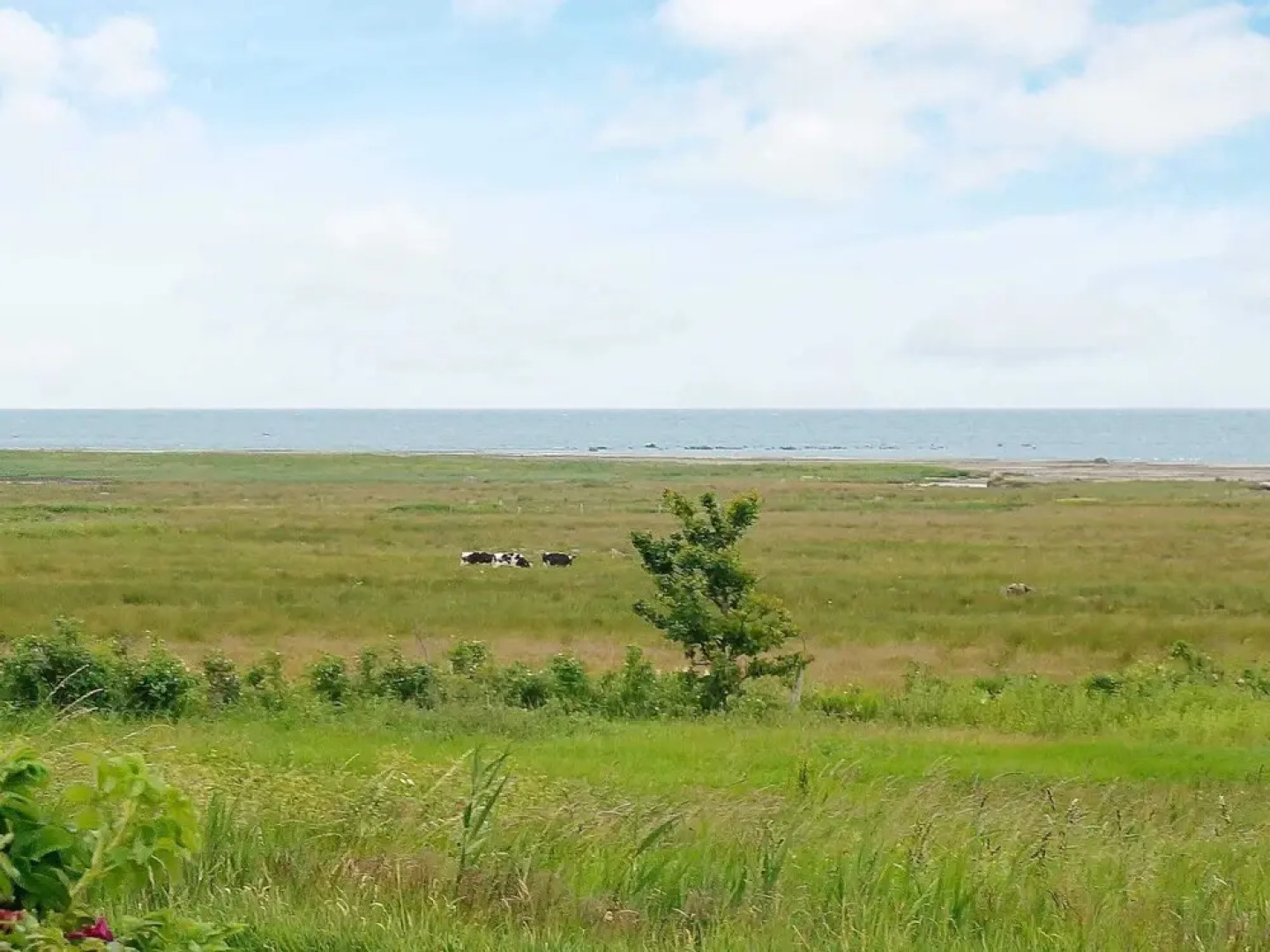 4 Person Holiday Home in Tvaaker