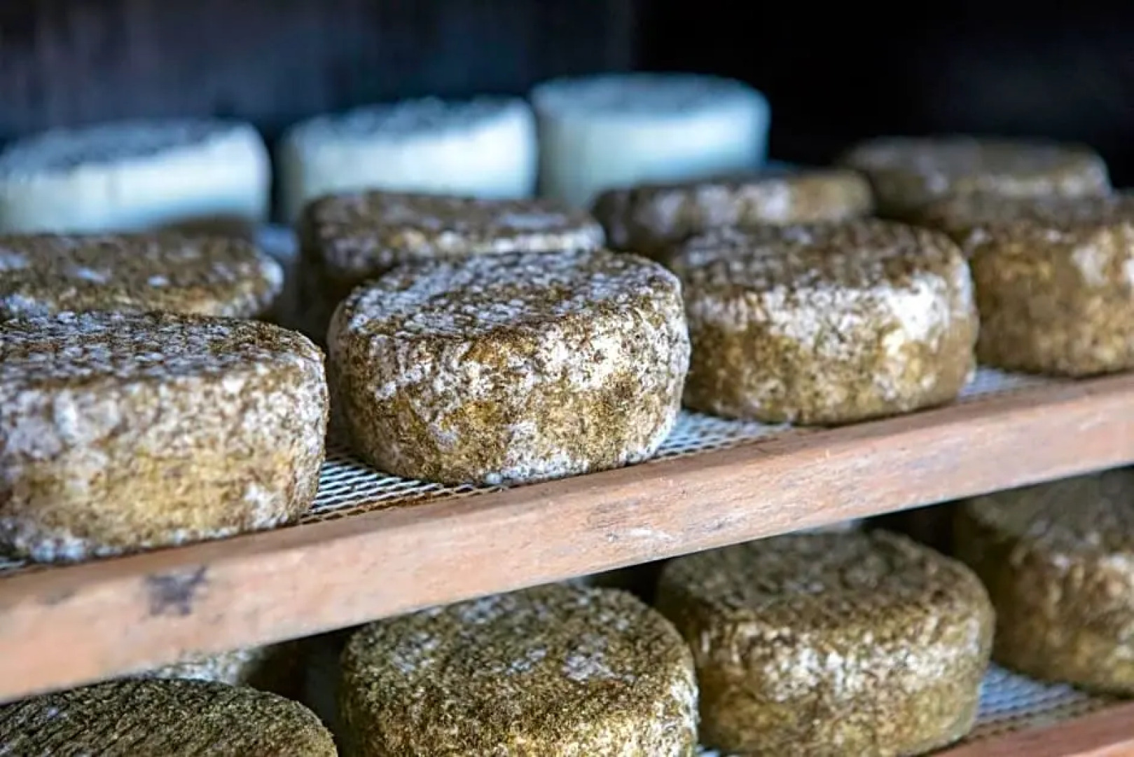 Hotel Rural la Frasera