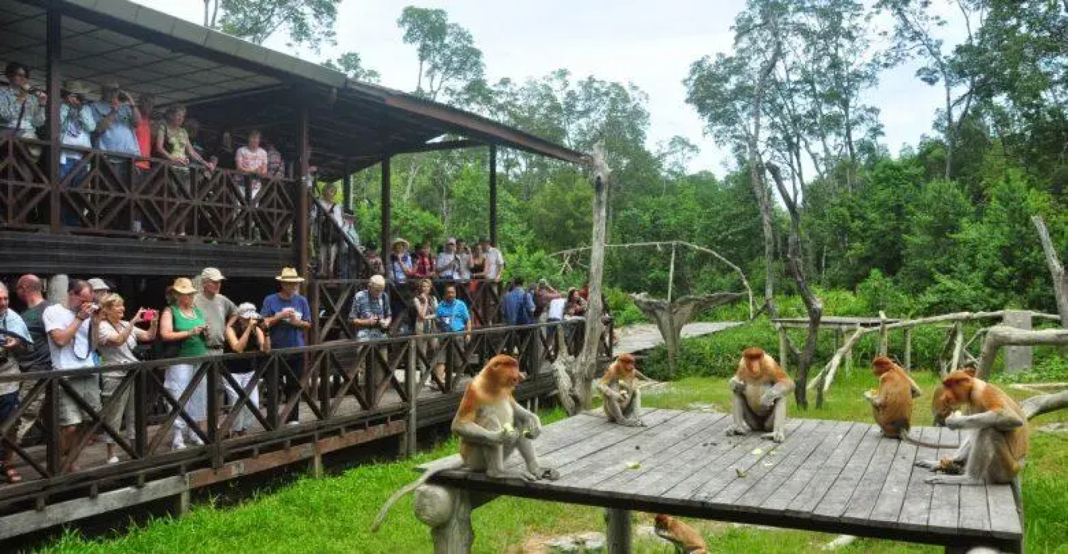 Gloria Swiss Hotel & Apartment Sandakan