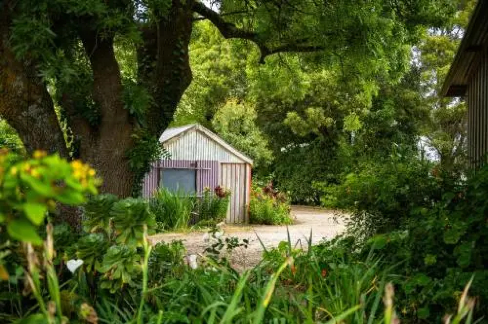 Mallavale Farm, Boat Harbour