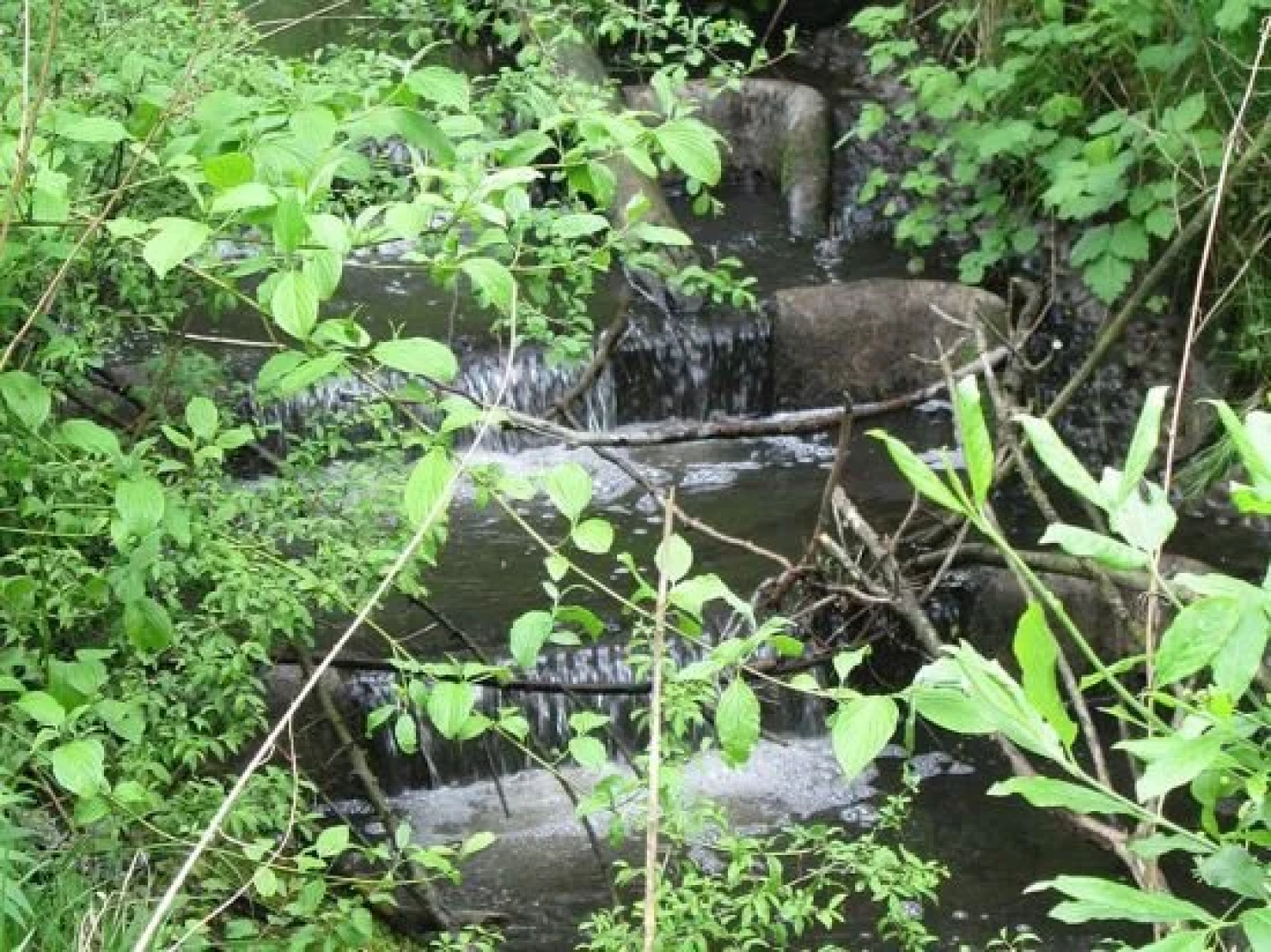 Manusfaktur Waldcafe Und Hotel