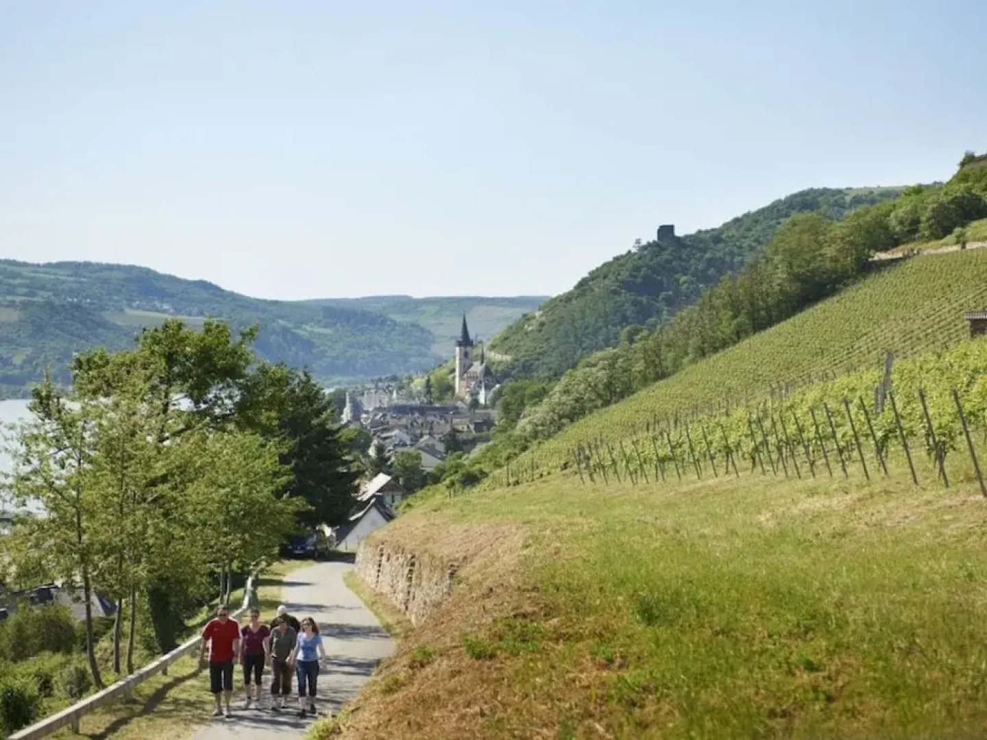 Holiday Apartment Riesling