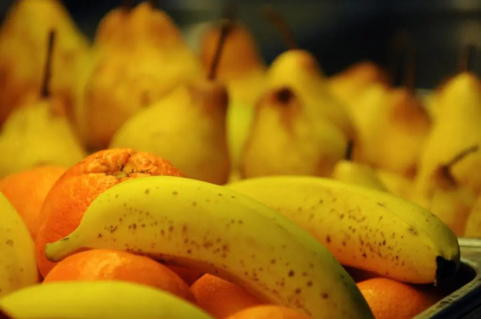 INATEL Foz do Arelho