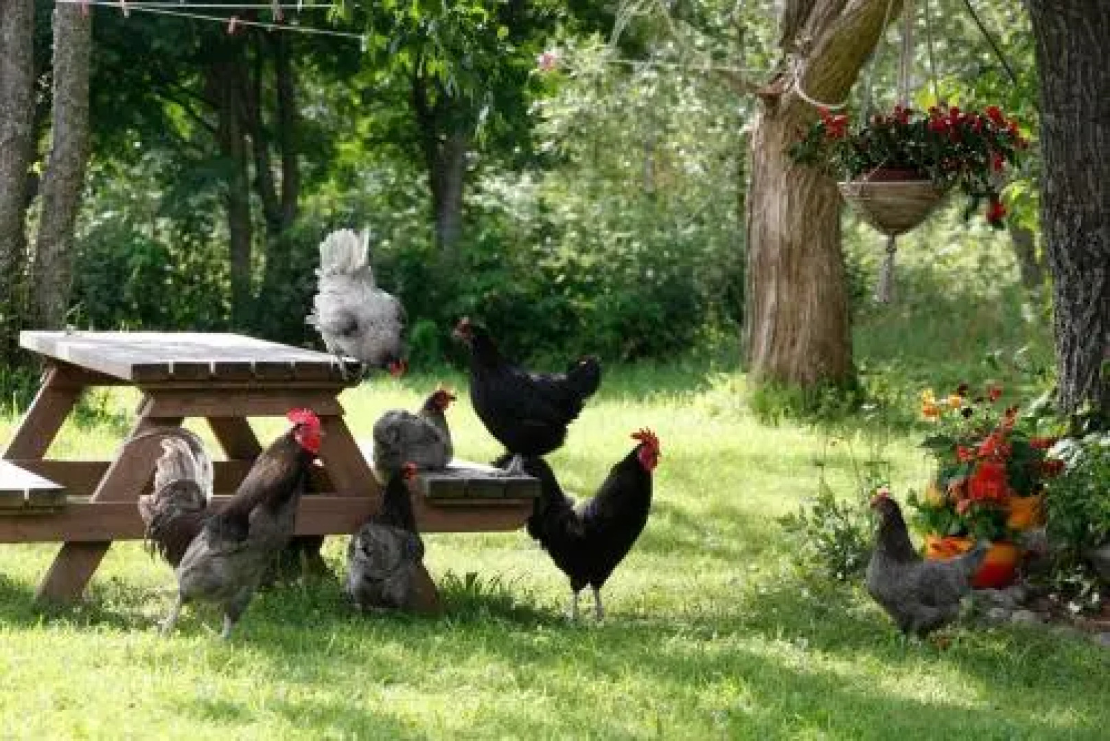 Bed & Breakfast Kuuksenkaari