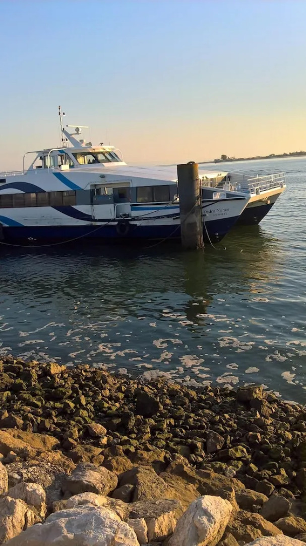 Apartment with 3 Bedrooms in Amora, with Wonderful City View And Wifi - 8 Km From the Beach