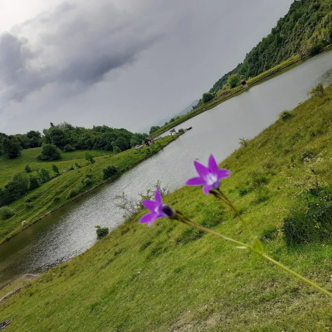 Sejour Lake Mountain View for 3 People