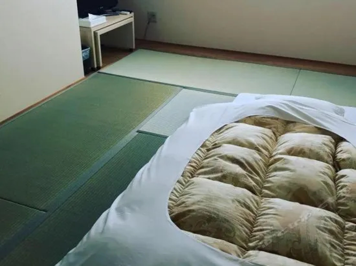 Business Ryokan Umezaki