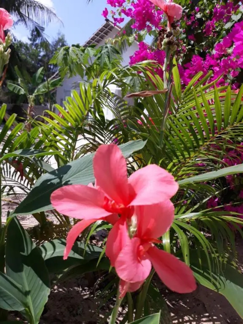 Timothe Beach Bungalow