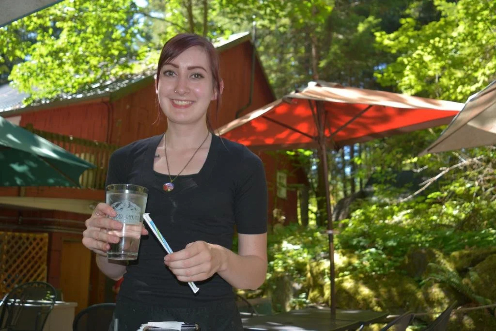 Copper Creek Inn at Mt Rainier