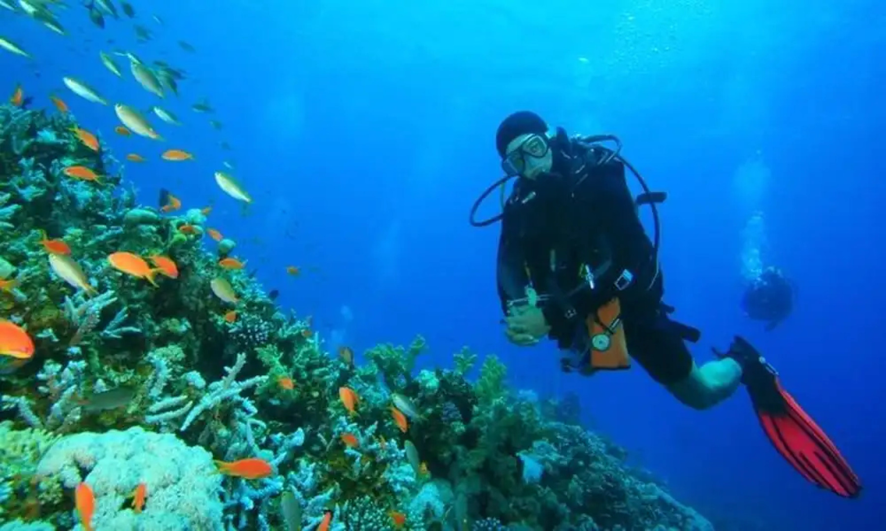 Apartment With 2 Bedrooms In Corsano With Furnished Terrace