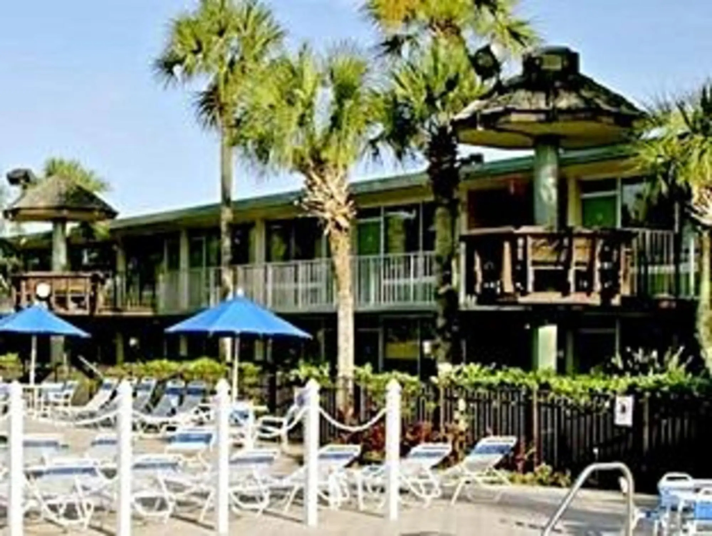 Magic Tree Resort
