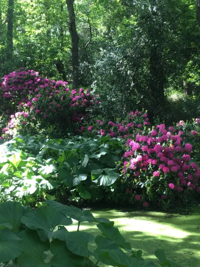 initial by balladins Dieppe