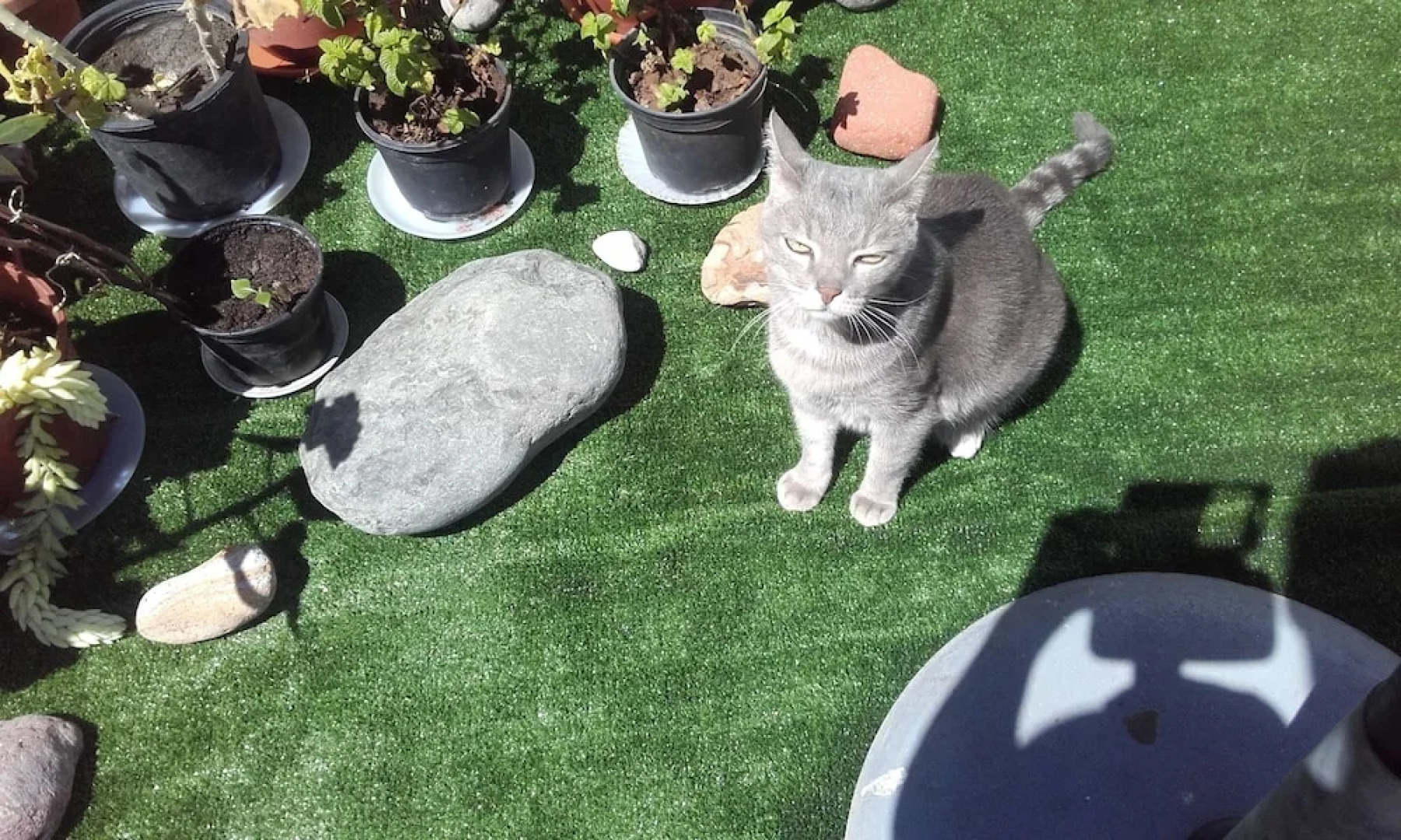 Que Encanto la Italiana