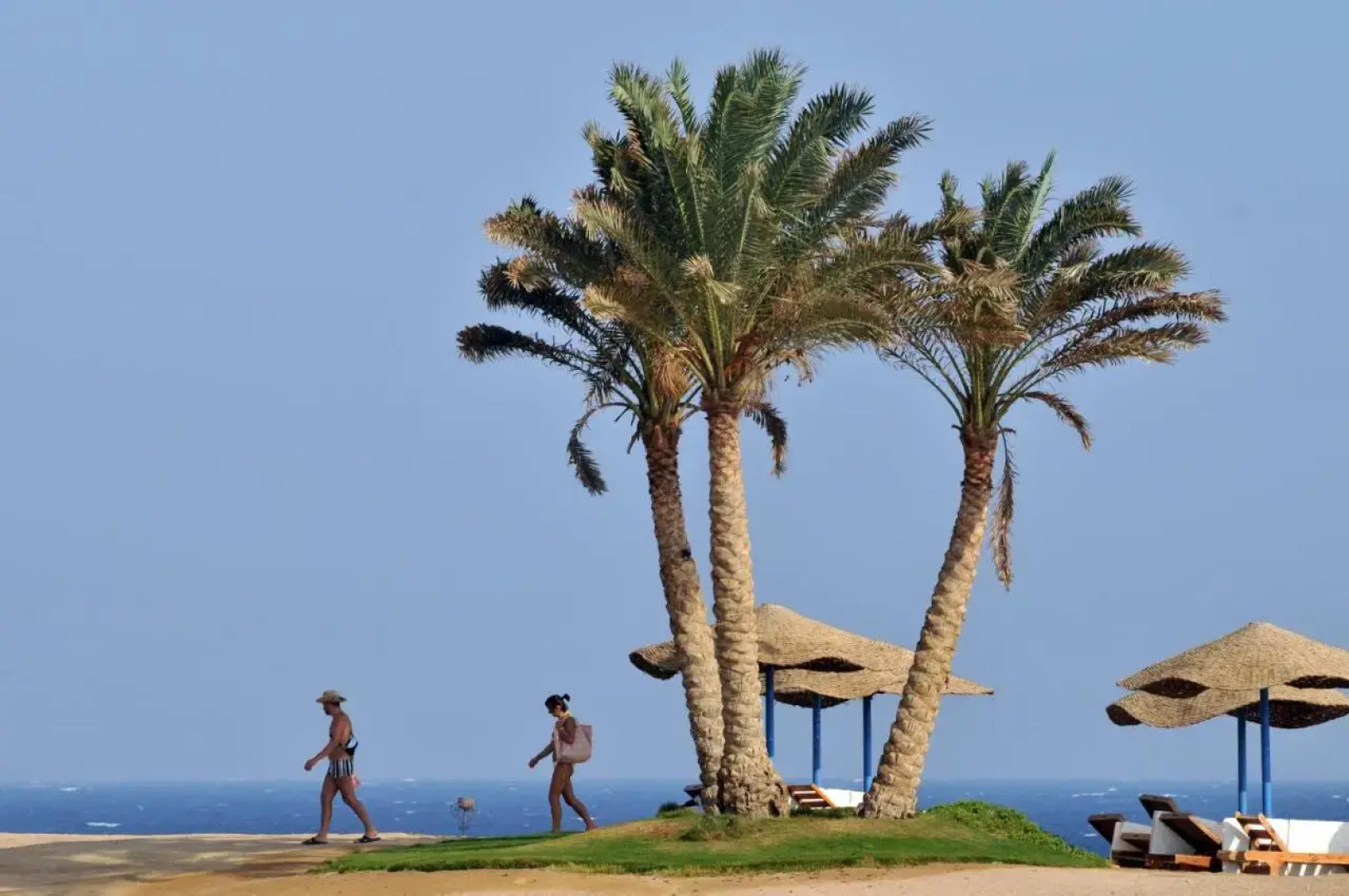 Отель JAZ Neo Reef Marsa