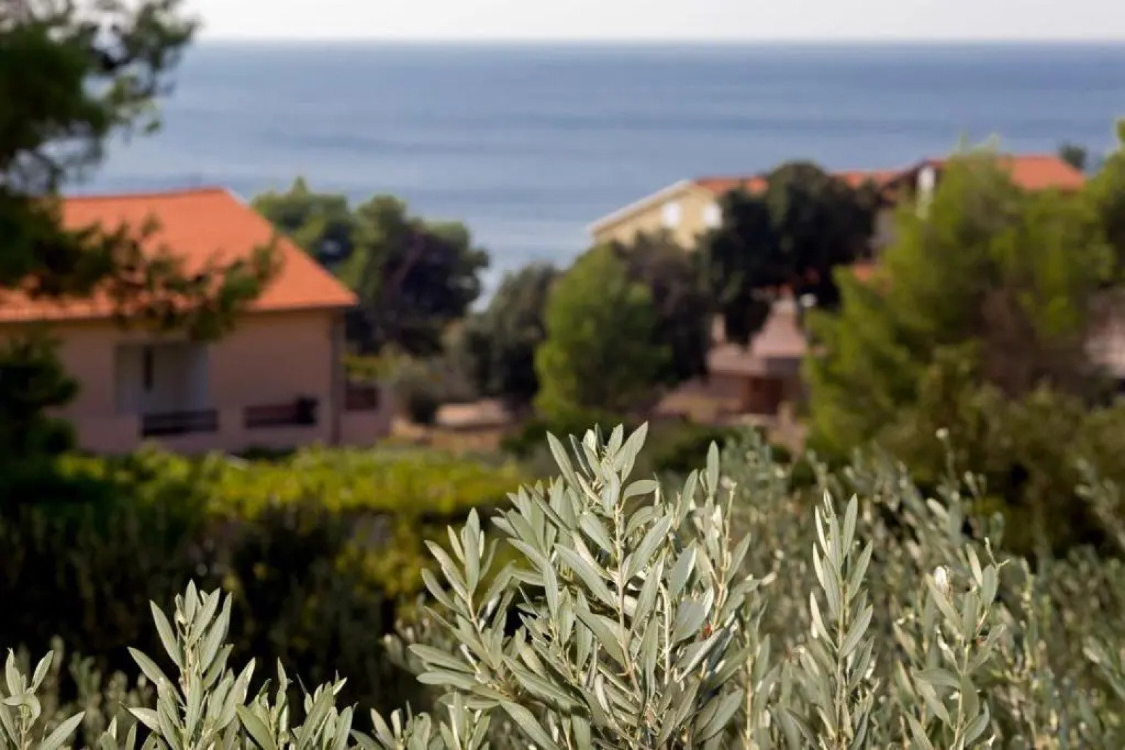 Lovely apartments Balić