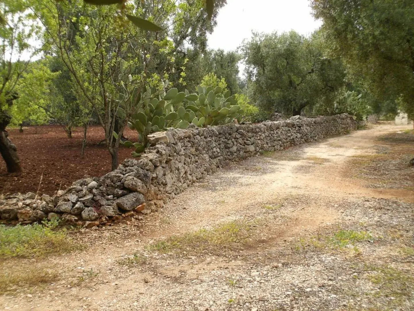 Villa Conte in Salento