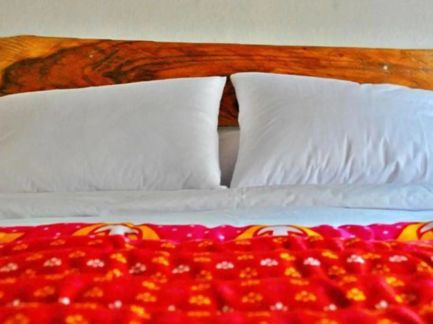 Iguanazú Bed & Breakfast