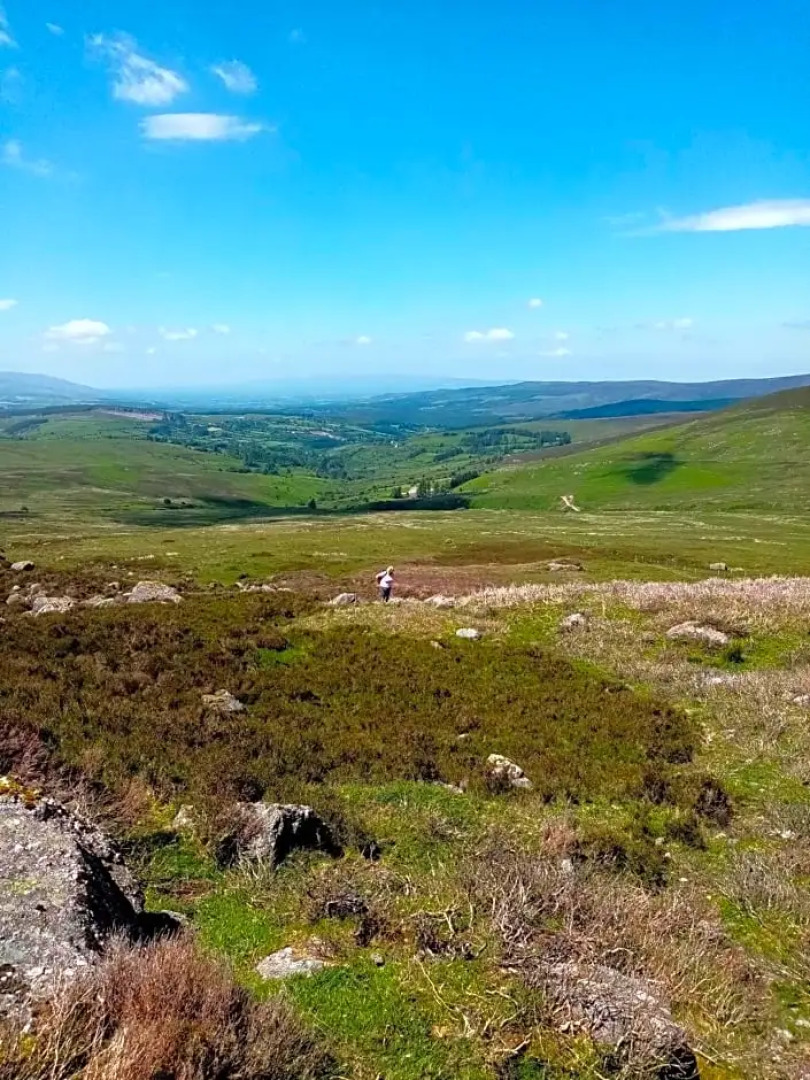 Baylough Homestay Room only