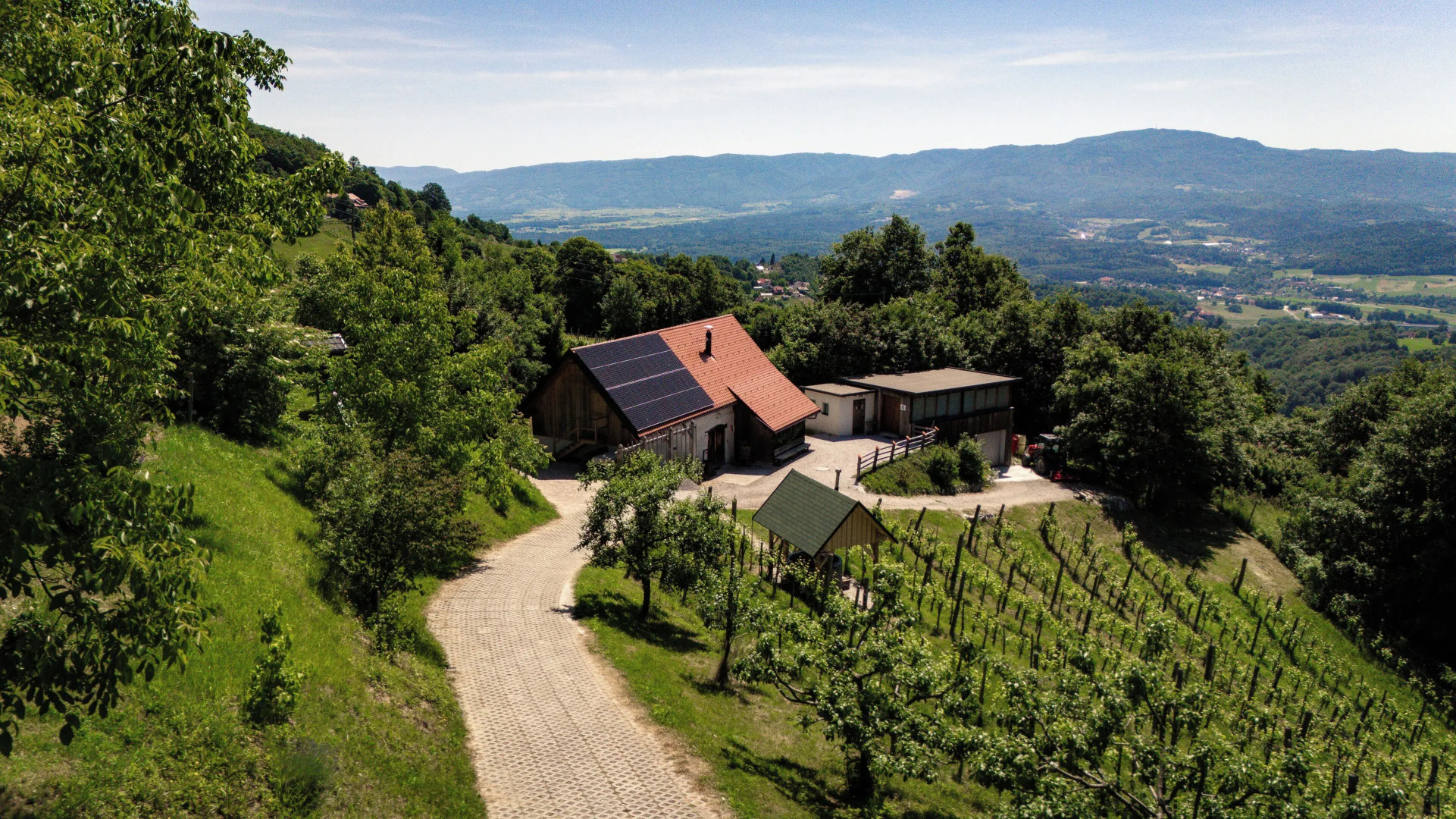 Vineyard cottage Škatlar 3