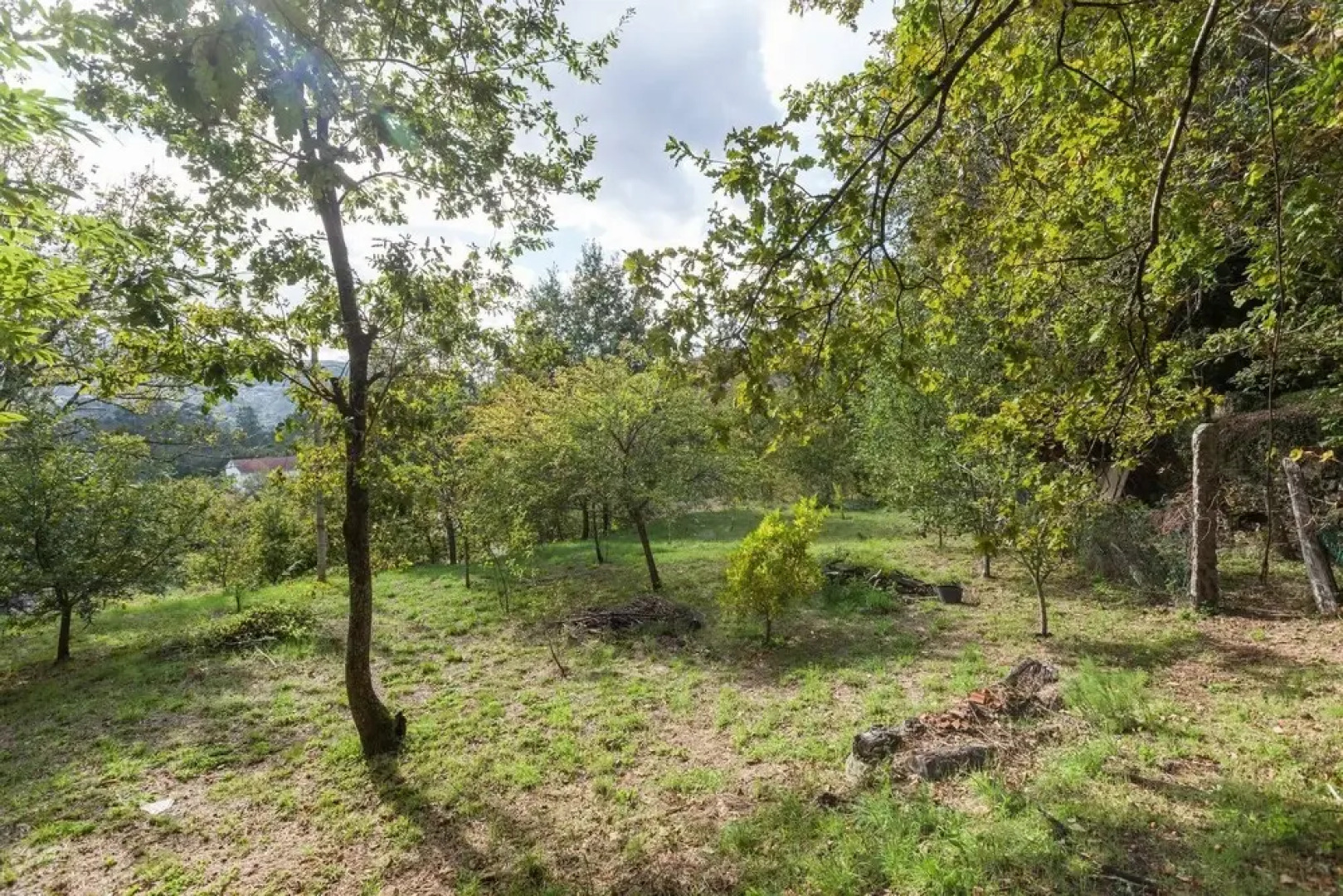 Suite Familiar Conheca O Minho E Descanse Em Plena Natureza