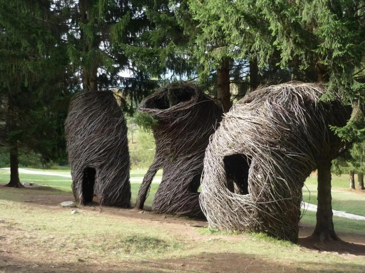 Garnì Sella al Cipriani