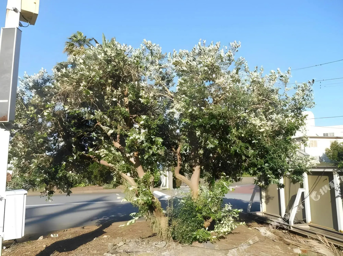 Izu Village Heso Hotel