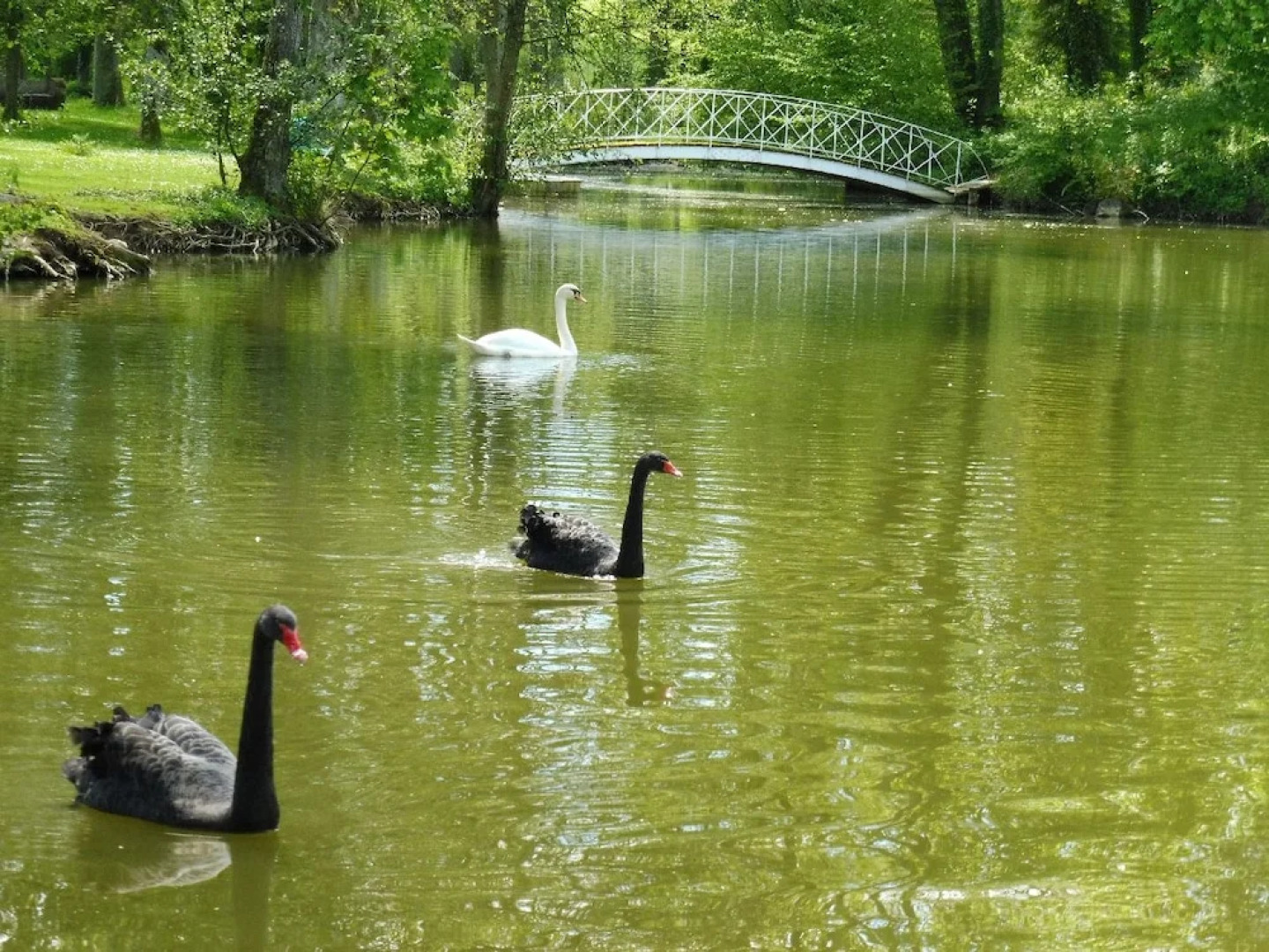 Gite du Domaine du Feyel