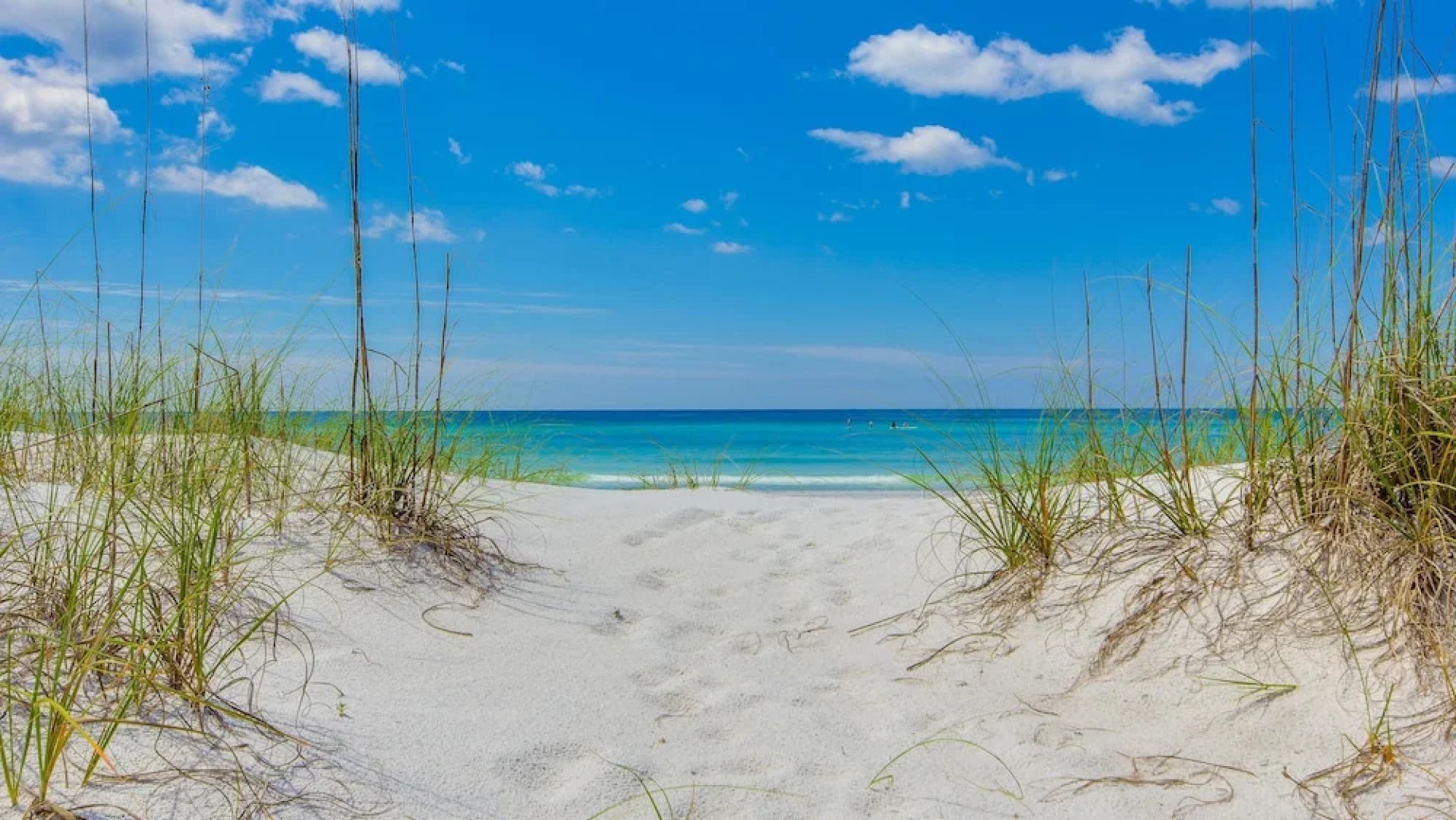 Ariel Dunes II 2303 flr23 2BR 2BA 6