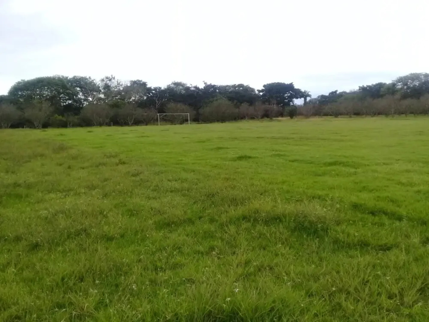 Centro Vacacional y de Eventos Araguaney