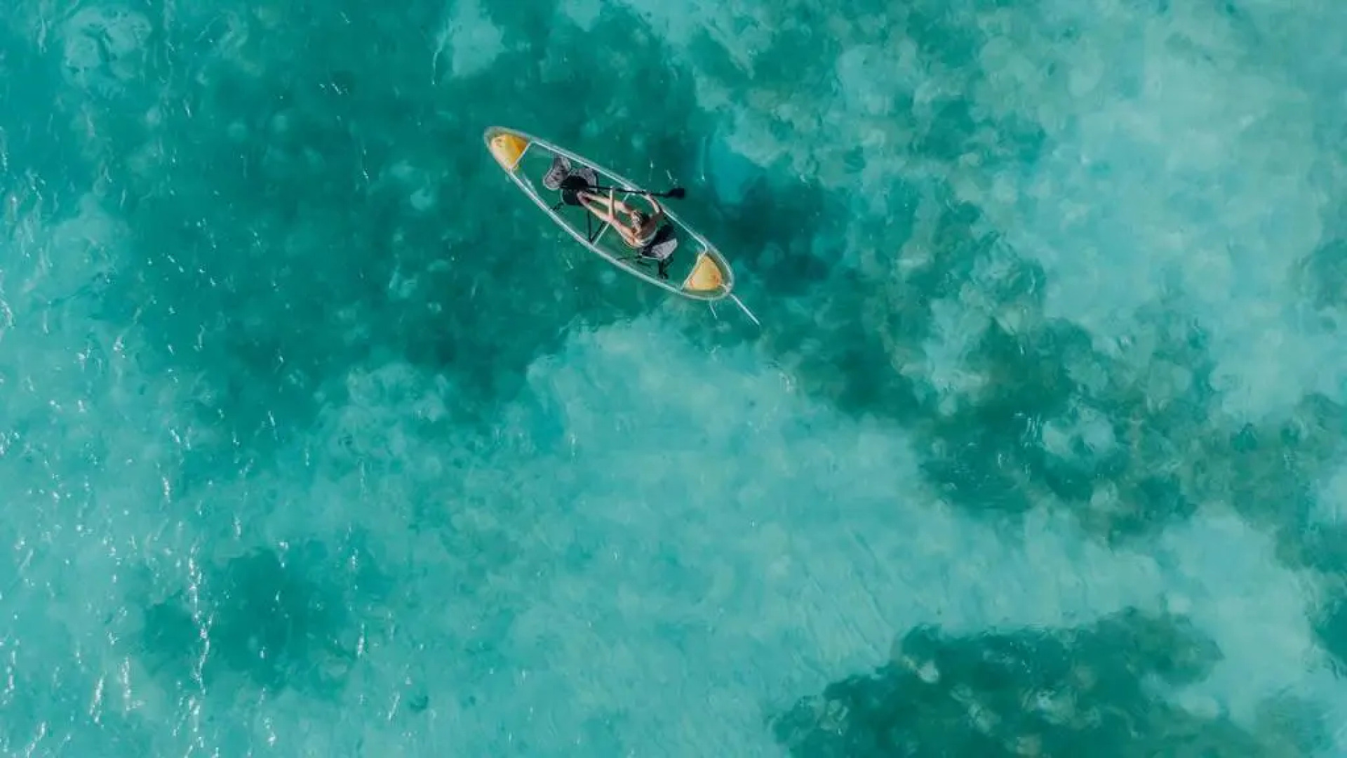 Beachfront Bella Horizonte 5