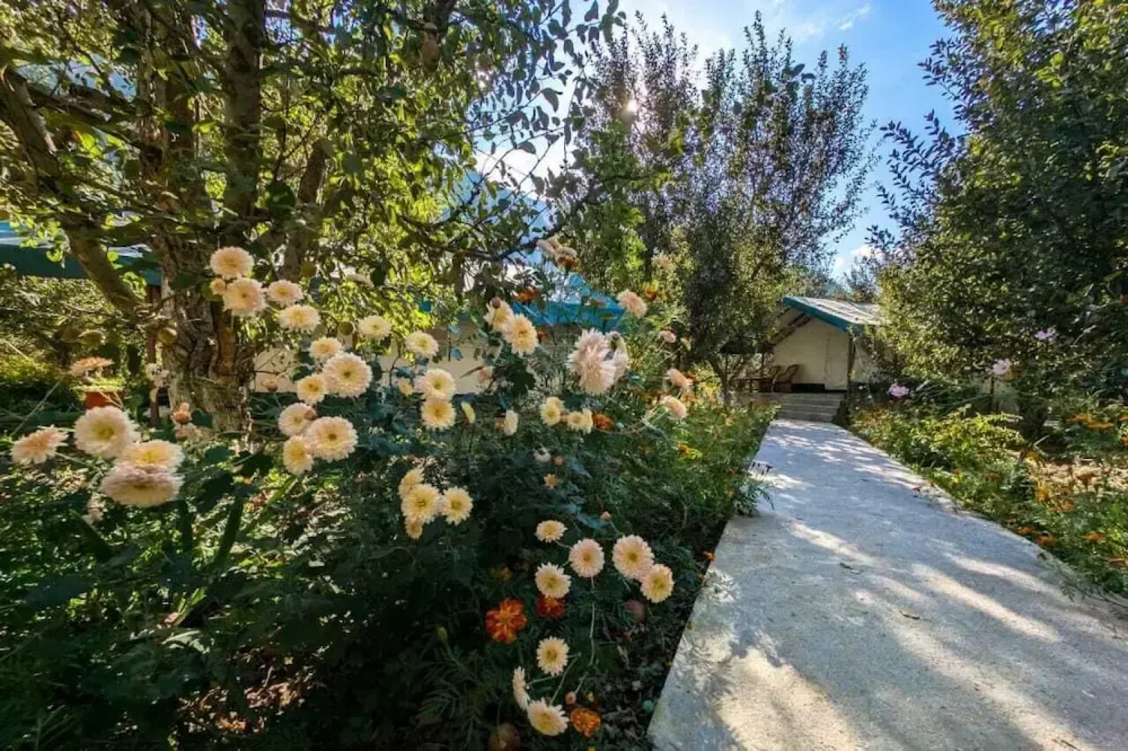 Apple Orchard Farm and Camping