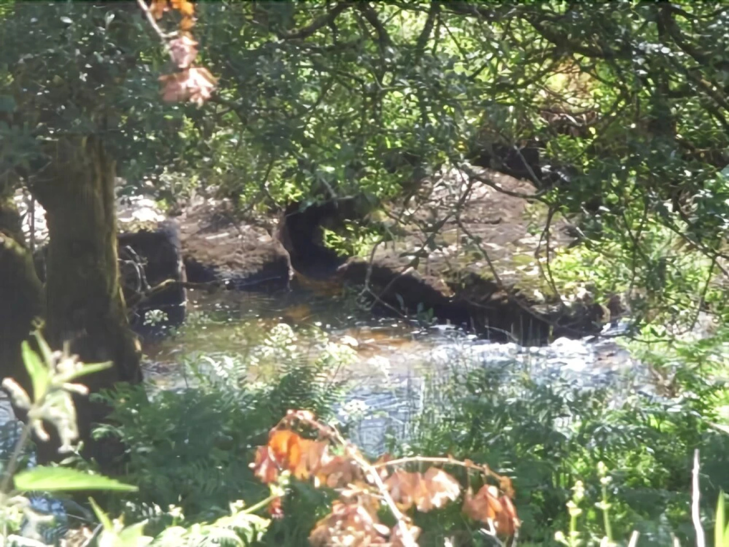 Wydemeet Bed and Breakfast