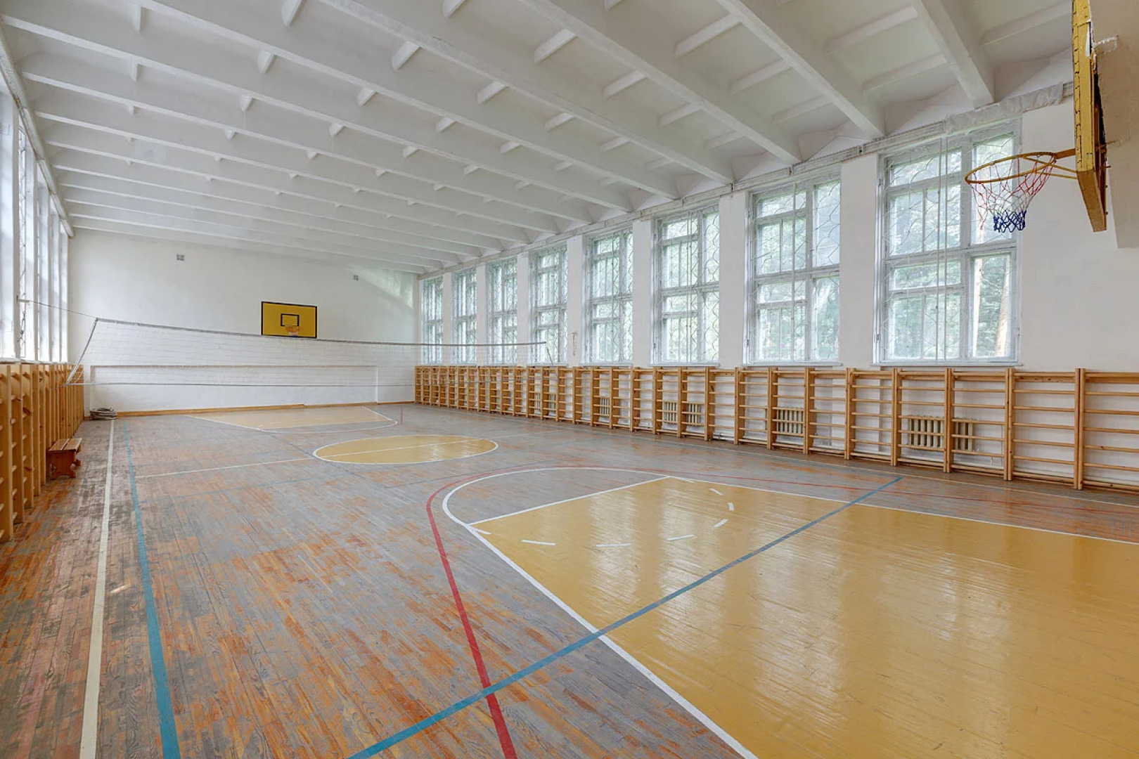 Кедровый бор