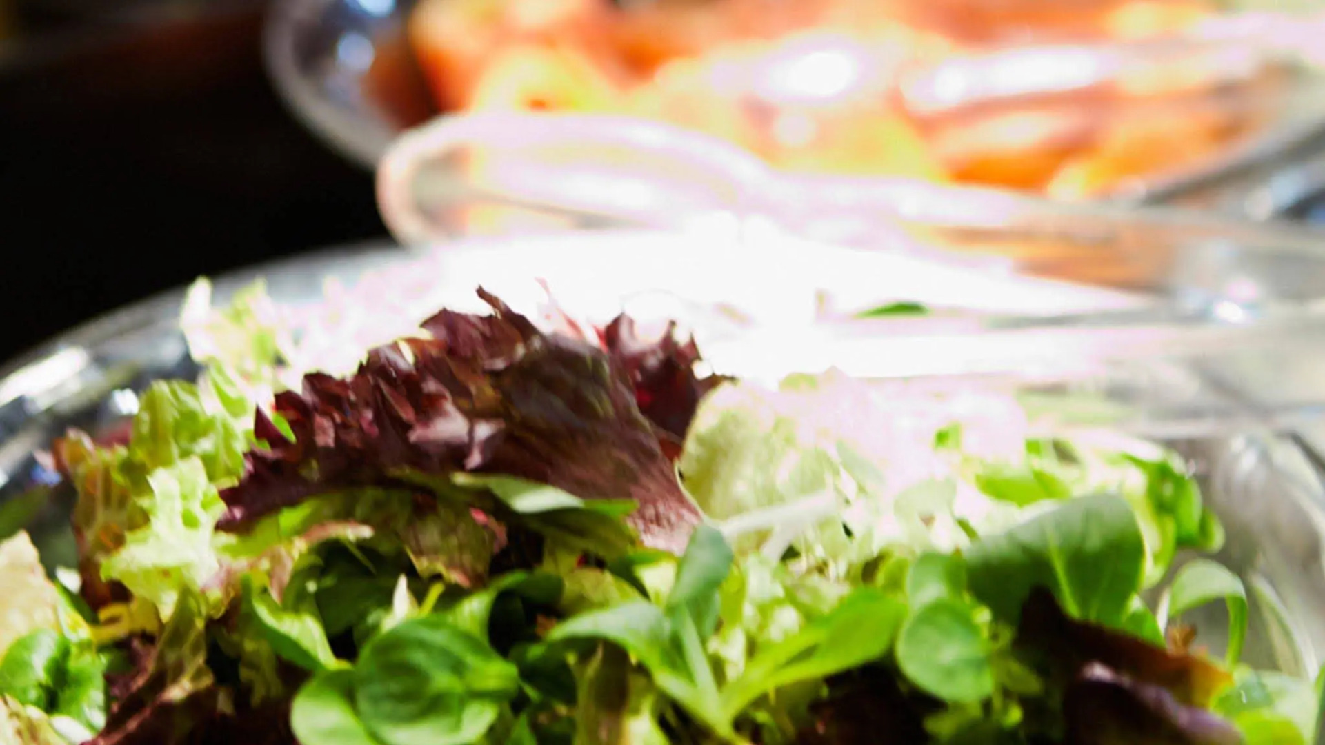 Suites Plaza Hotel & Wellness