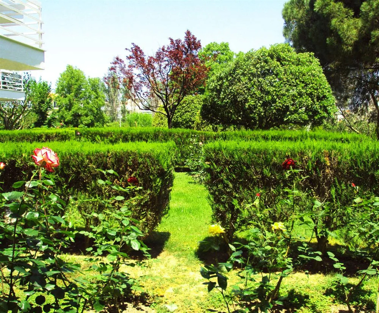 Villa Kiza Apartments