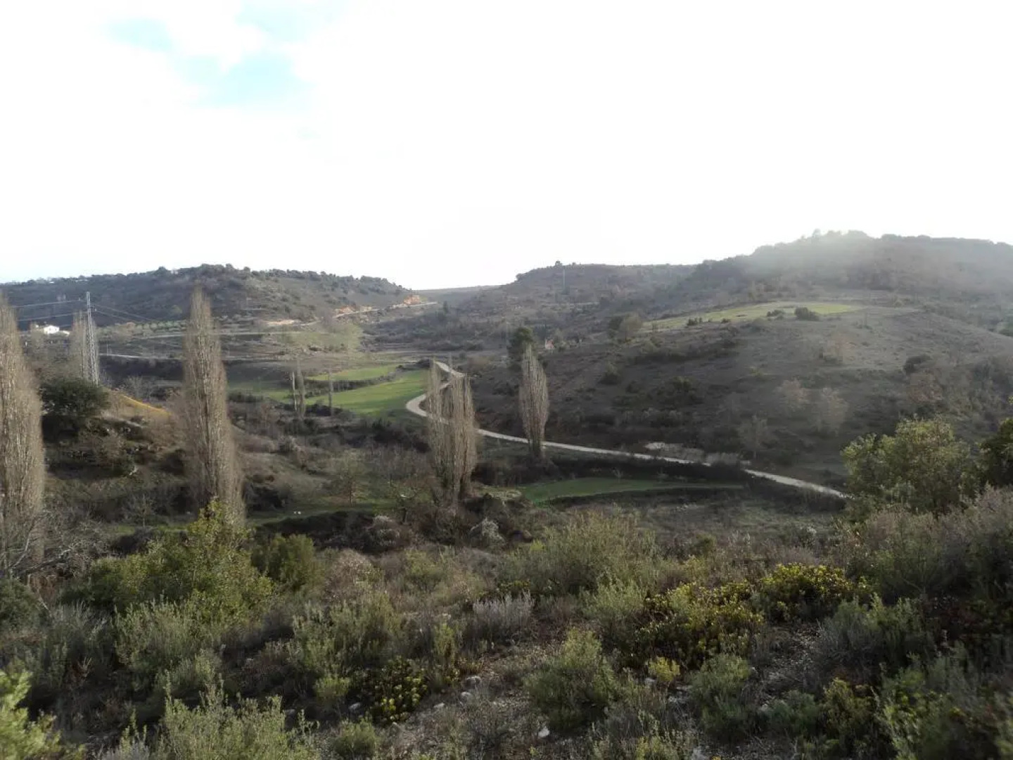 El Horno de Leopoldo