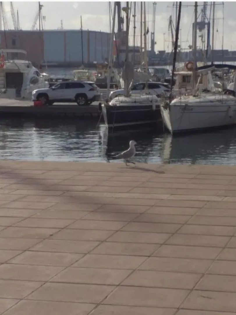 Appartement charmant rénové à neuf à El Grao di Castellon de la plana