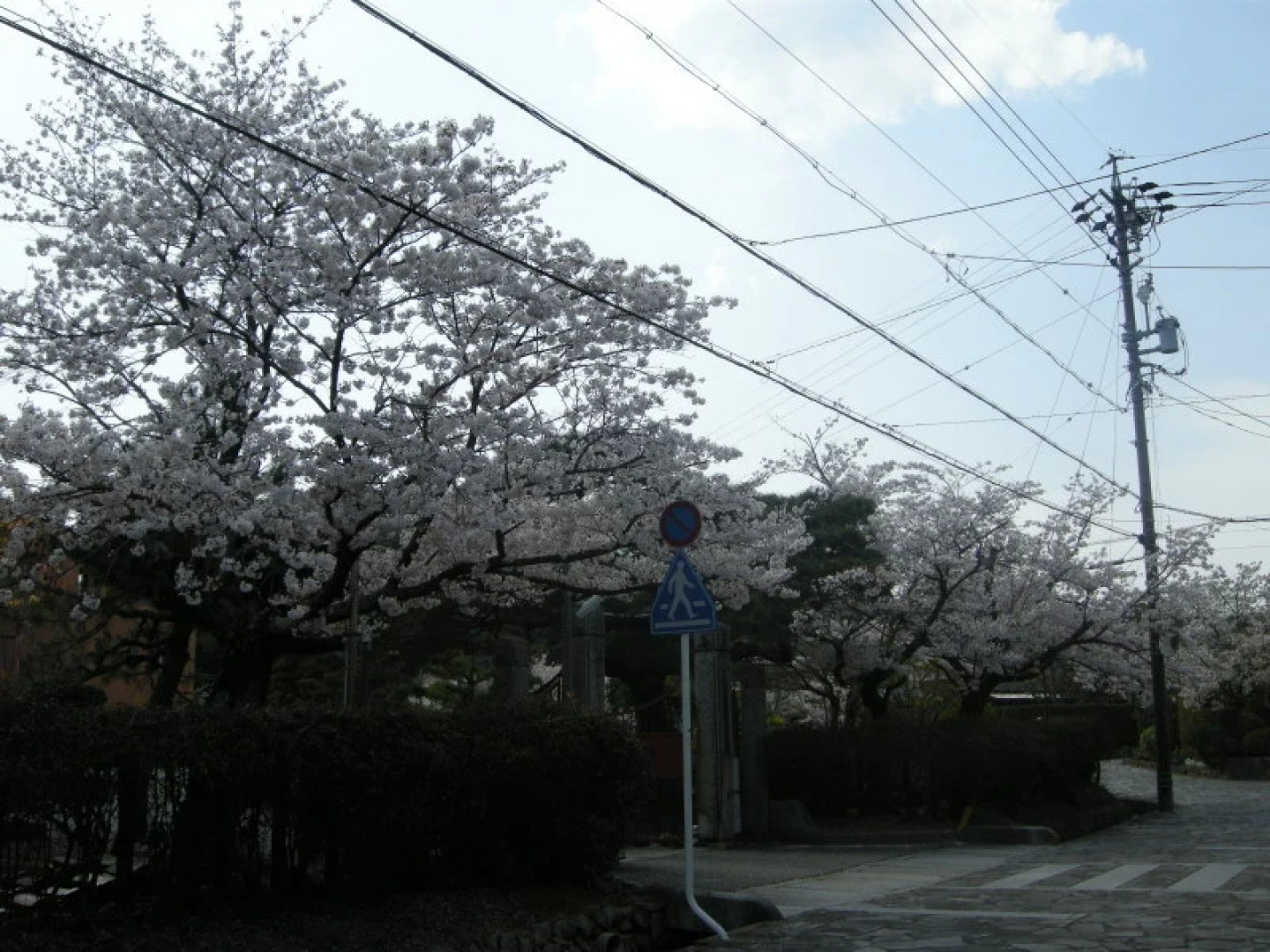 Yachiyo Kappou & Ryokan