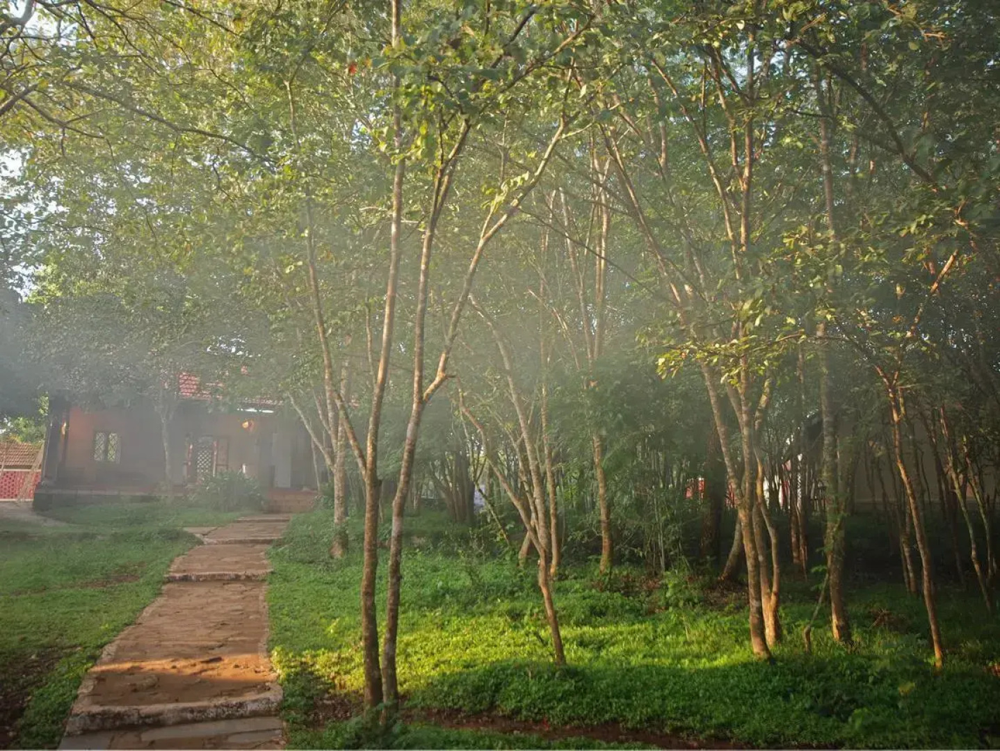 The Windflower Jungle Resorts and Spa