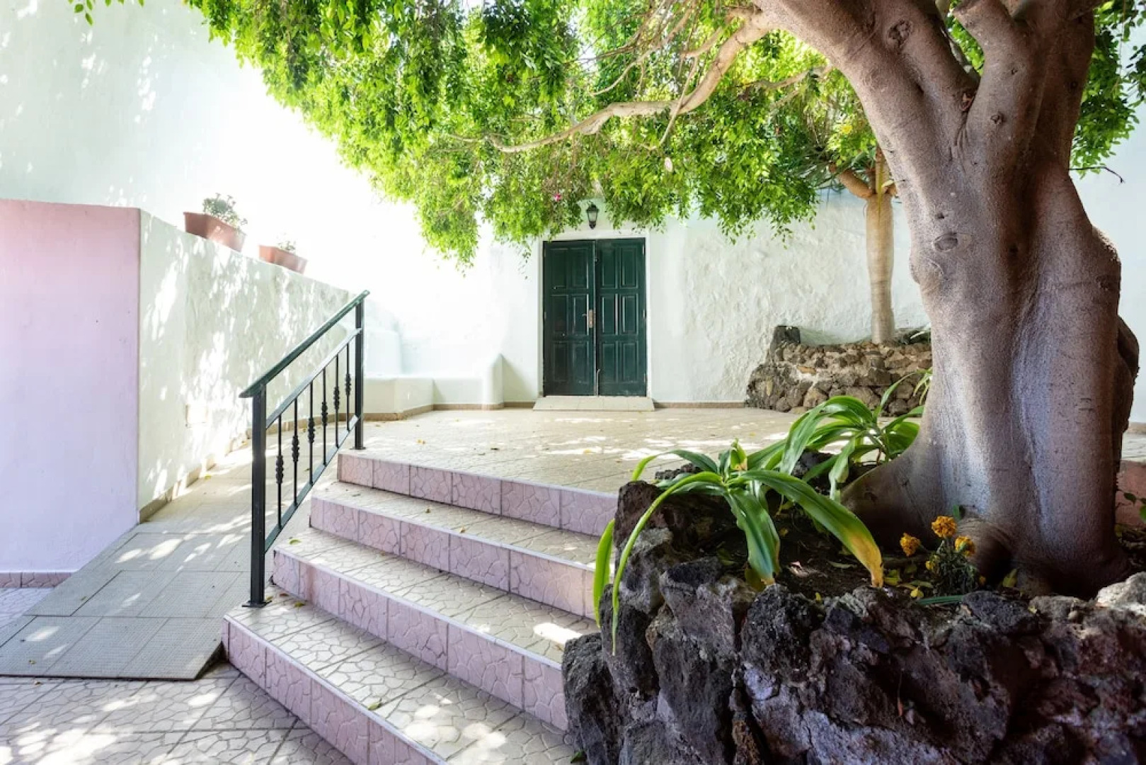 Typical Canary House