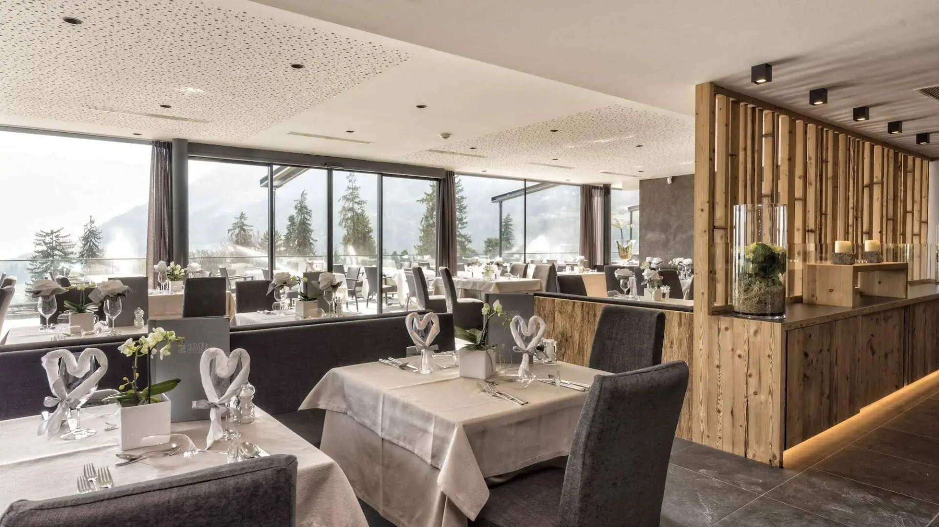 Avidea - Adults Only