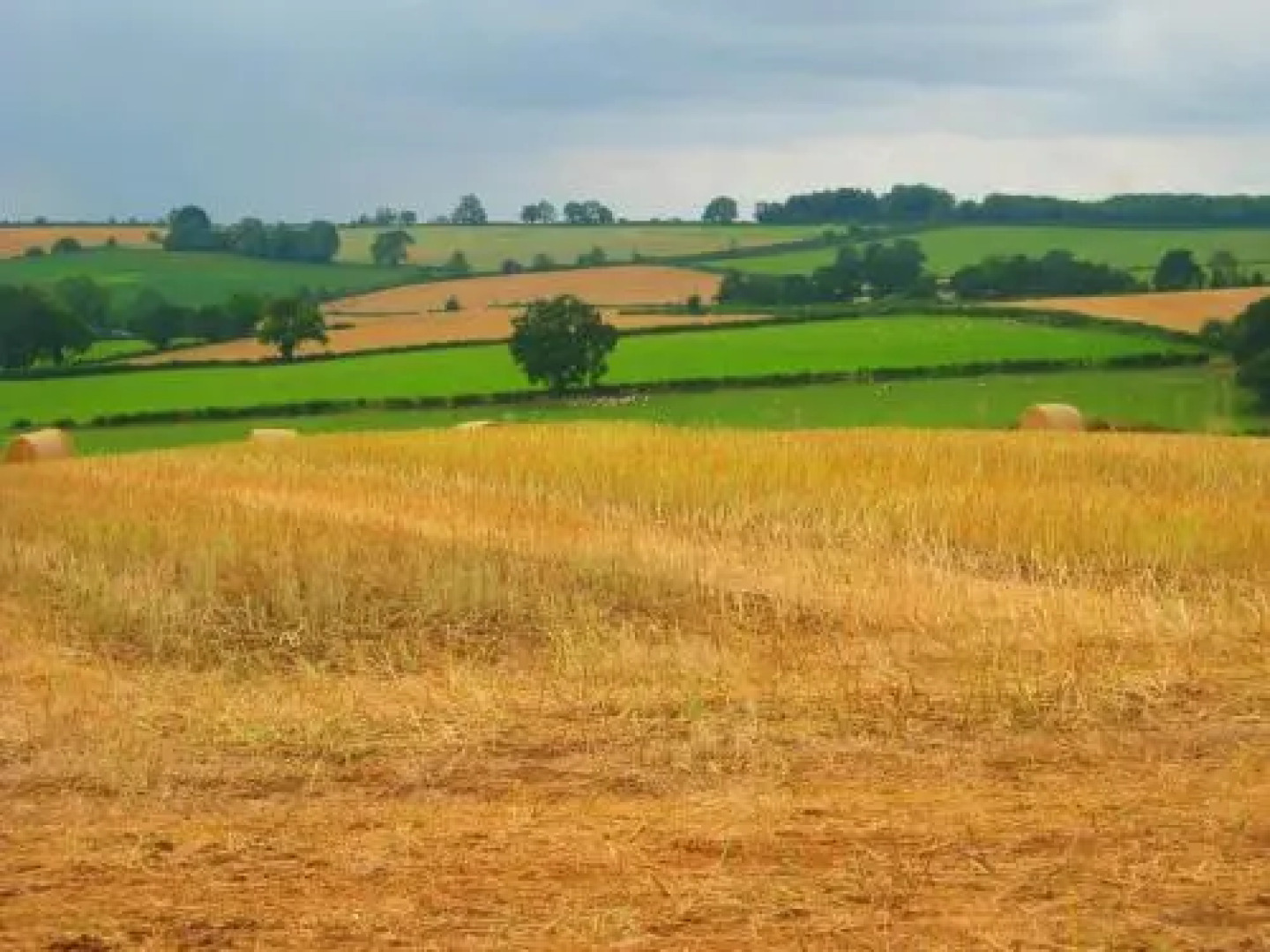 Durstone Farm - The Stables