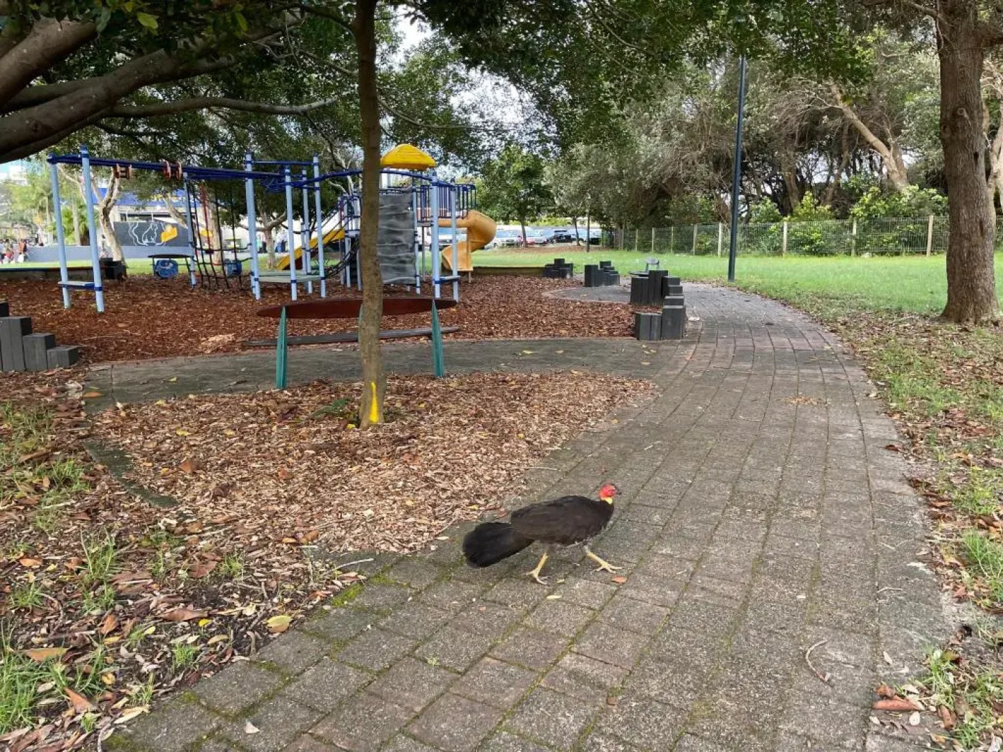 The Beach House # 15 Paradise Waters