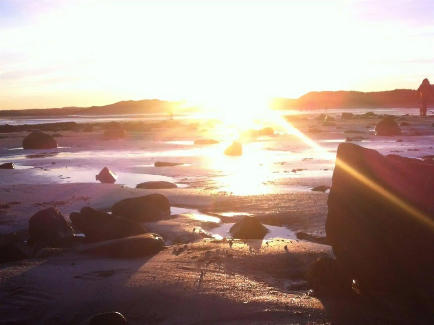 The Farm House Guest House