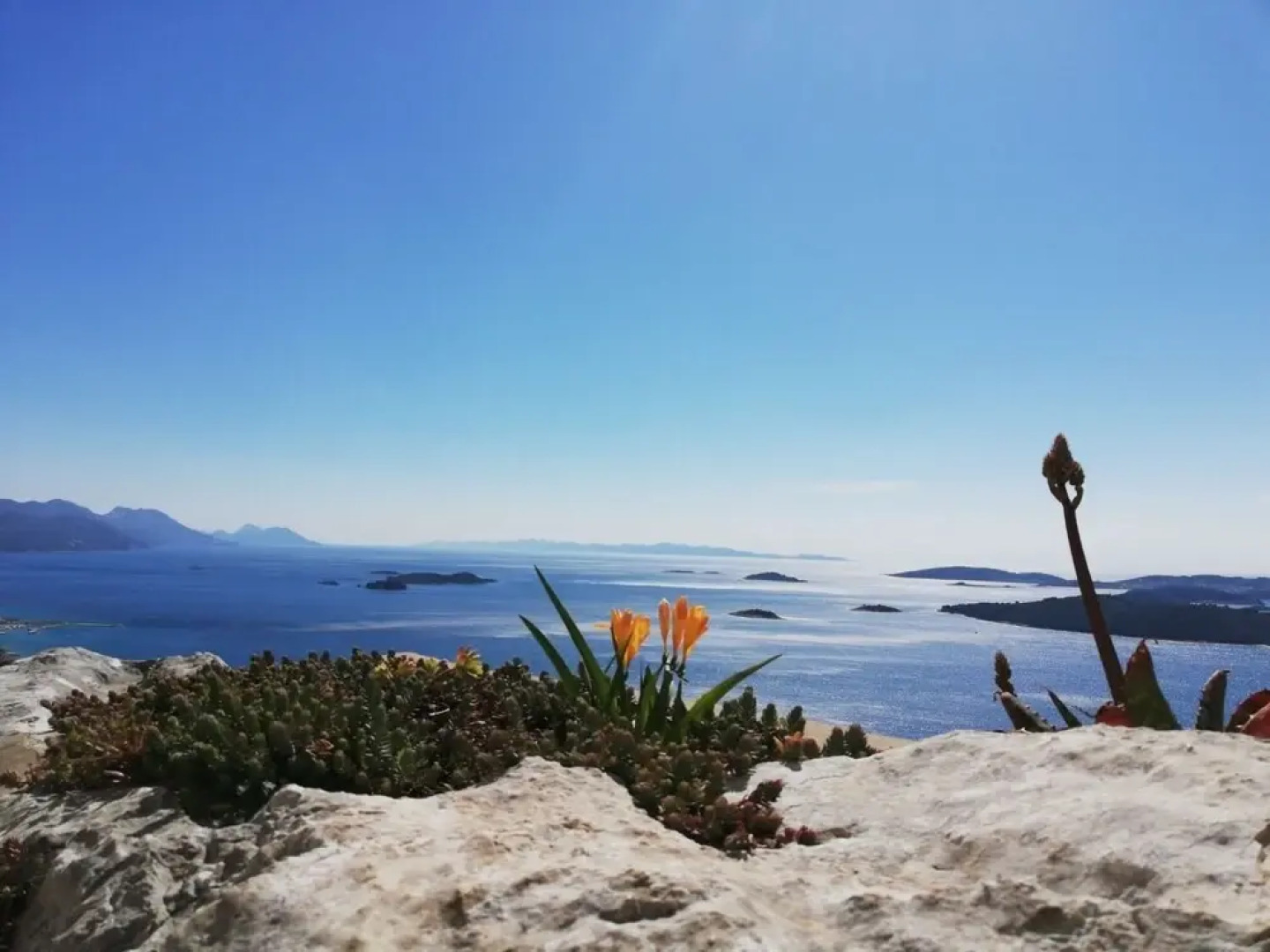 Vida With Garden - SA4 - Studio Mandula