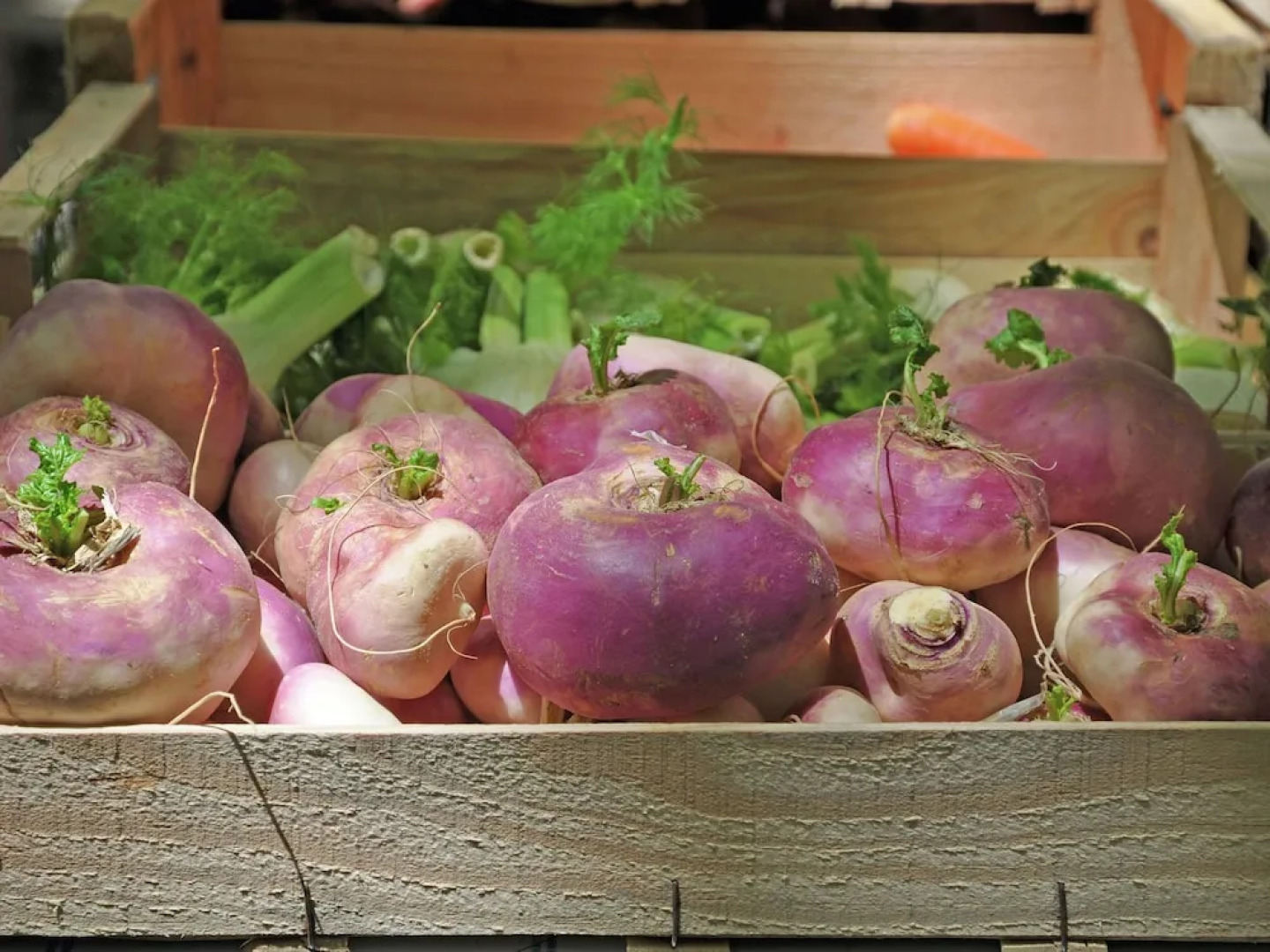 Grandstand View of the Verdon From This Villa With Private Pool in Aups